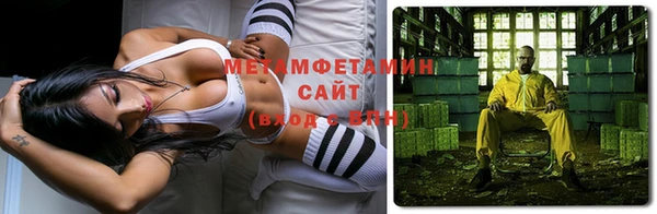 индика Богородицк