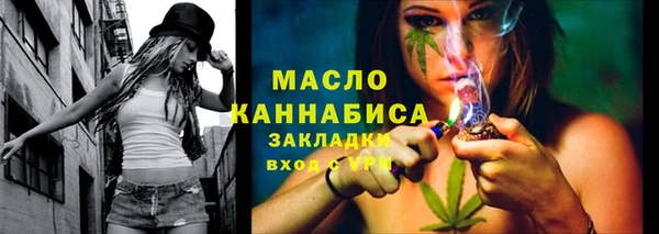 индика Богородицк