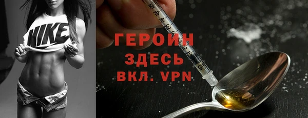 индика Богородицк