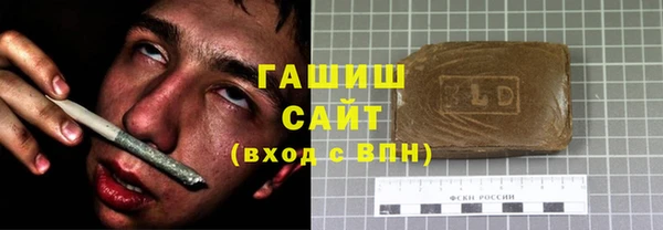 индика Богородицк