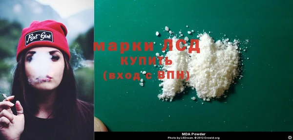индика Богородицк