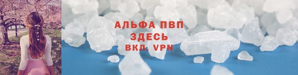 гашик Россошь