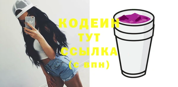 прущий лед Богданович