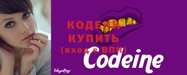 МДПВ Саяногорск