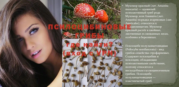 первитин Бородино
