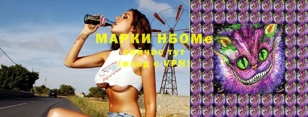 индика Богородицк