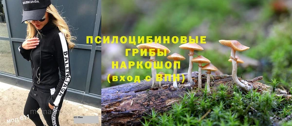 прущие грибы Балахна