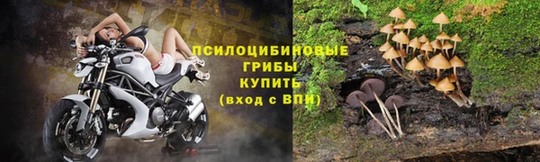 индика Богородицк