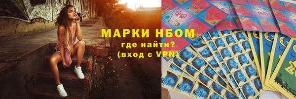 прущий лед Богданович