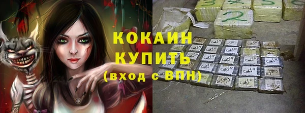 индика Богородицк