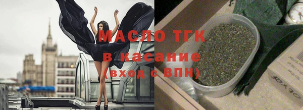 индика Богородицк