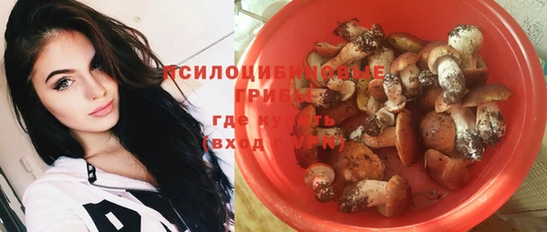 прущий лед Богданович