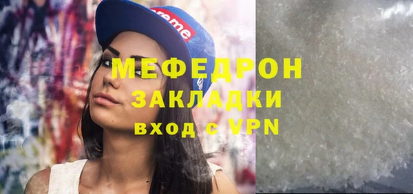 индика Богородицк